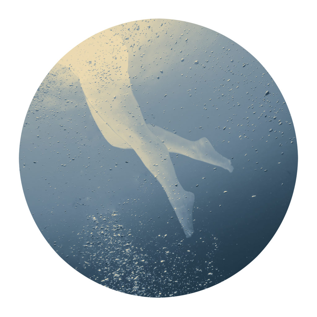 Gallery Image Asset Item