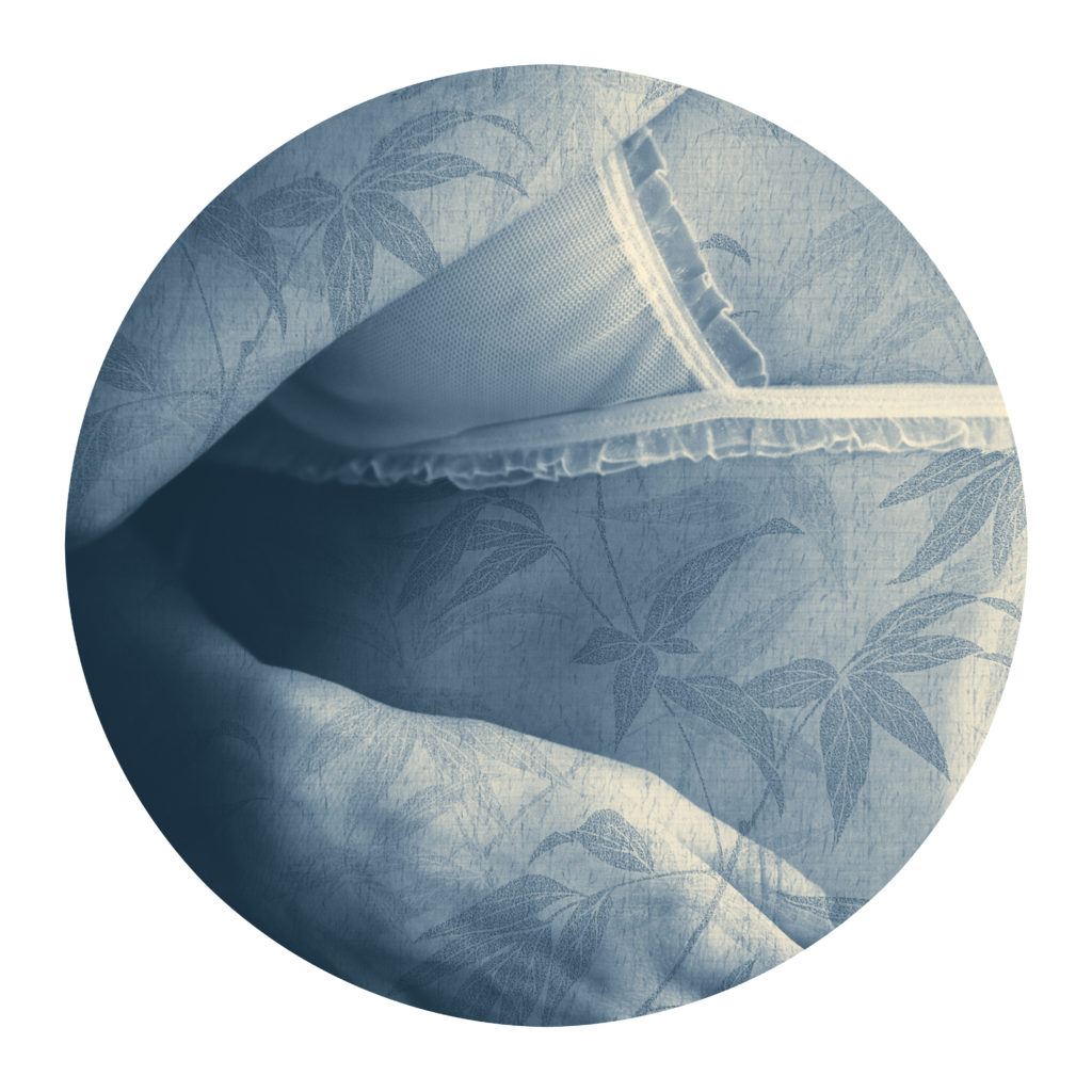 Gallery Image Asset Item