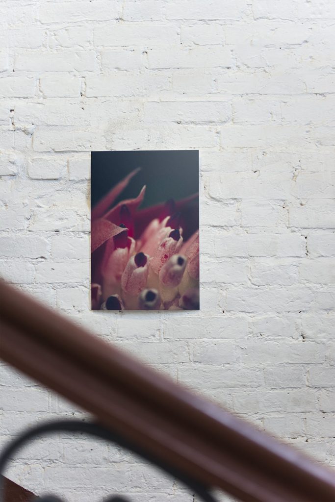 Gallery Image Asset Item