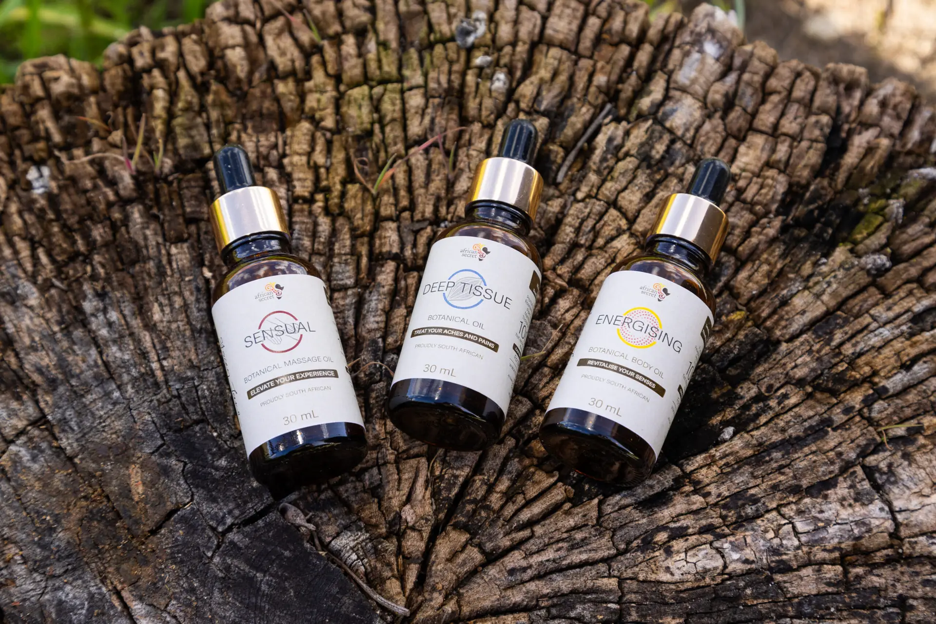African Secret AYA Africa oils group in tree trunk