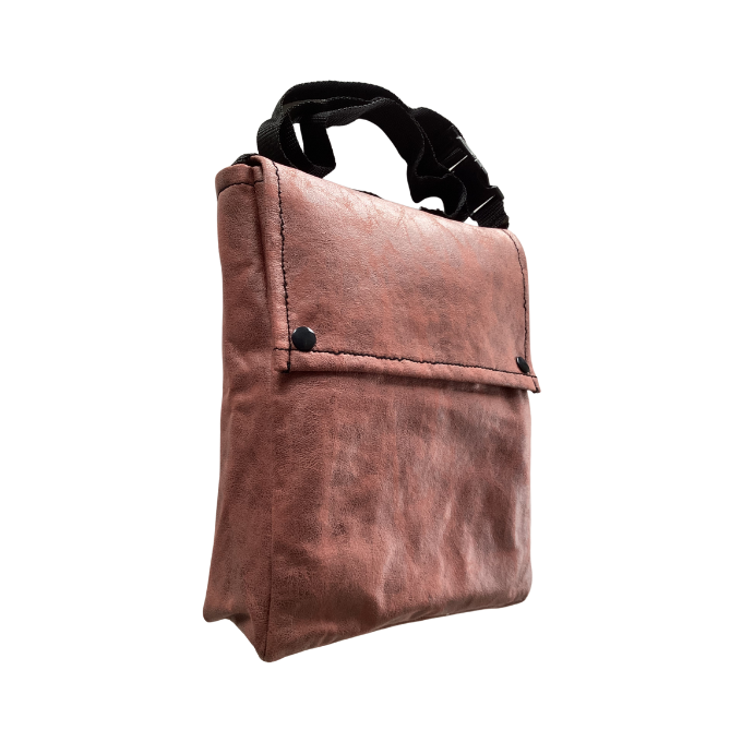 Gallery Image Asset Item